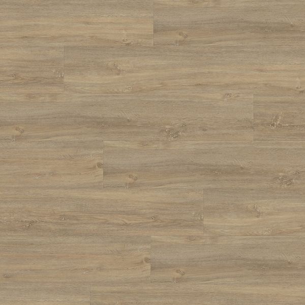 Вінілова підлога клейова Wineo 400 DB Wood Paradise Oak Essential DB00112 DB00112 фото