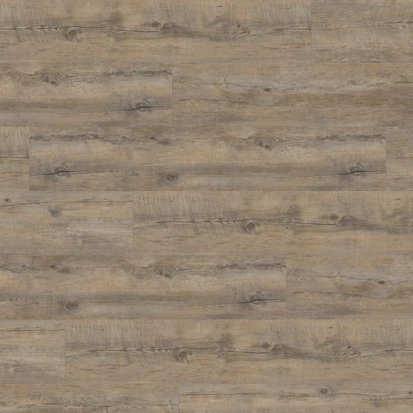 Вінілова підлога клейова Wineo 400 DB Wood Embrace Oak Grey DB00110 DB00110 фото