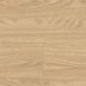 Вінілова підлога клейова Wineo 600 DB Wood NaturalPlace DB183W6 DB183W6 фото 1